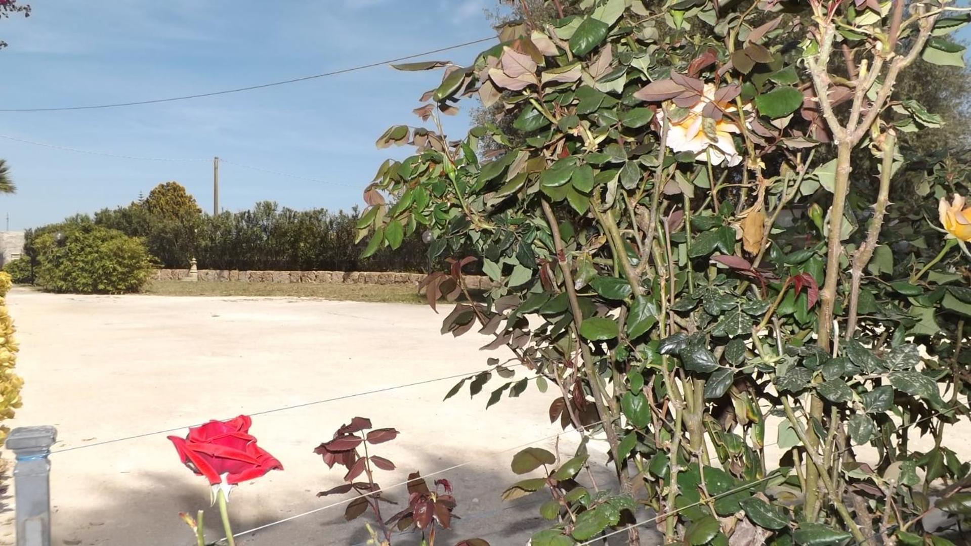 לינה וארוחת בוקר אבולה Beb Nonno Baffo מראה חיצוני תמונה