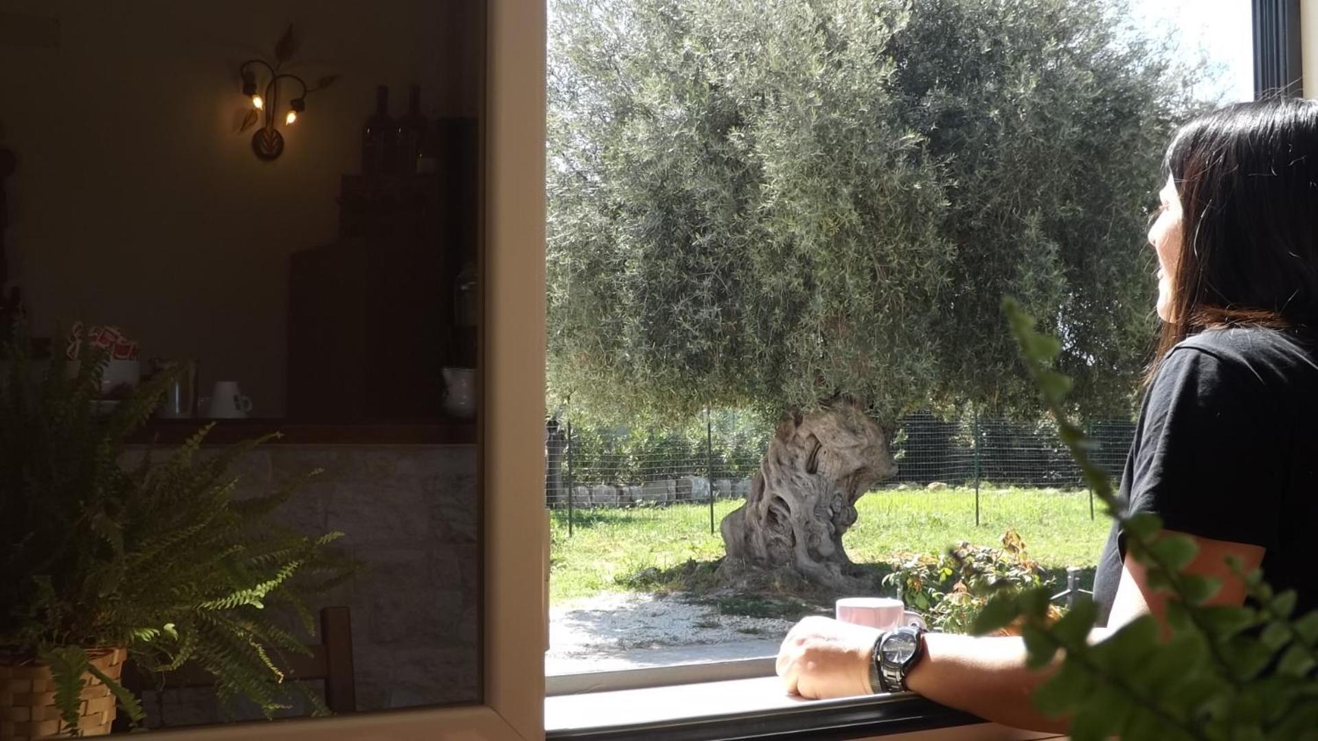 לינה וארוחת בוקר אבולה Beb Nonno Baffo מראה חיצוני תמונה